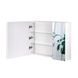 Зеркальный шкаф подвесной Qtap Scorpio QT1477ZP801W - 11