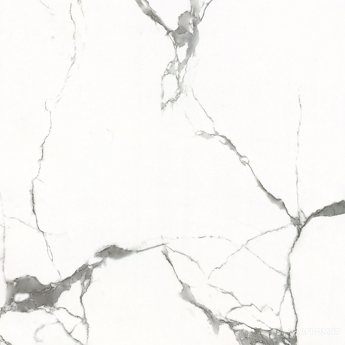 Плитка Carrara GXJ00160S