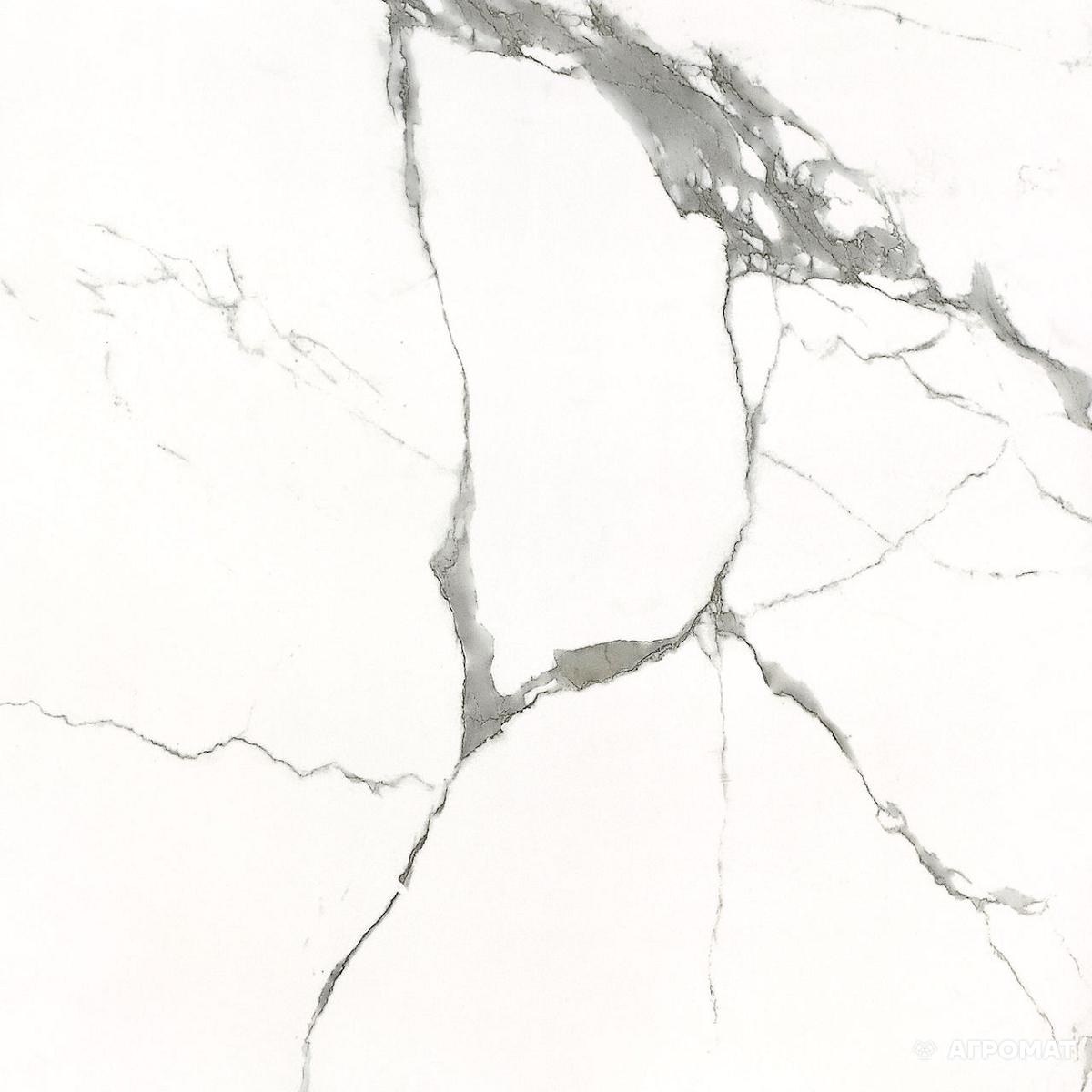 Плитка Carrara GXJ00160S