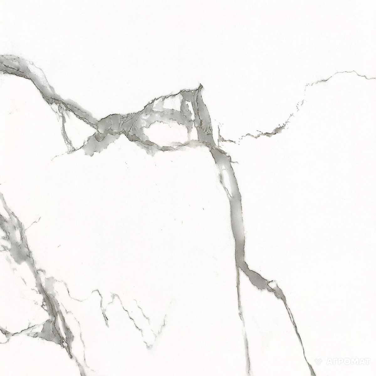 Плитка Carrara GXJ00160S