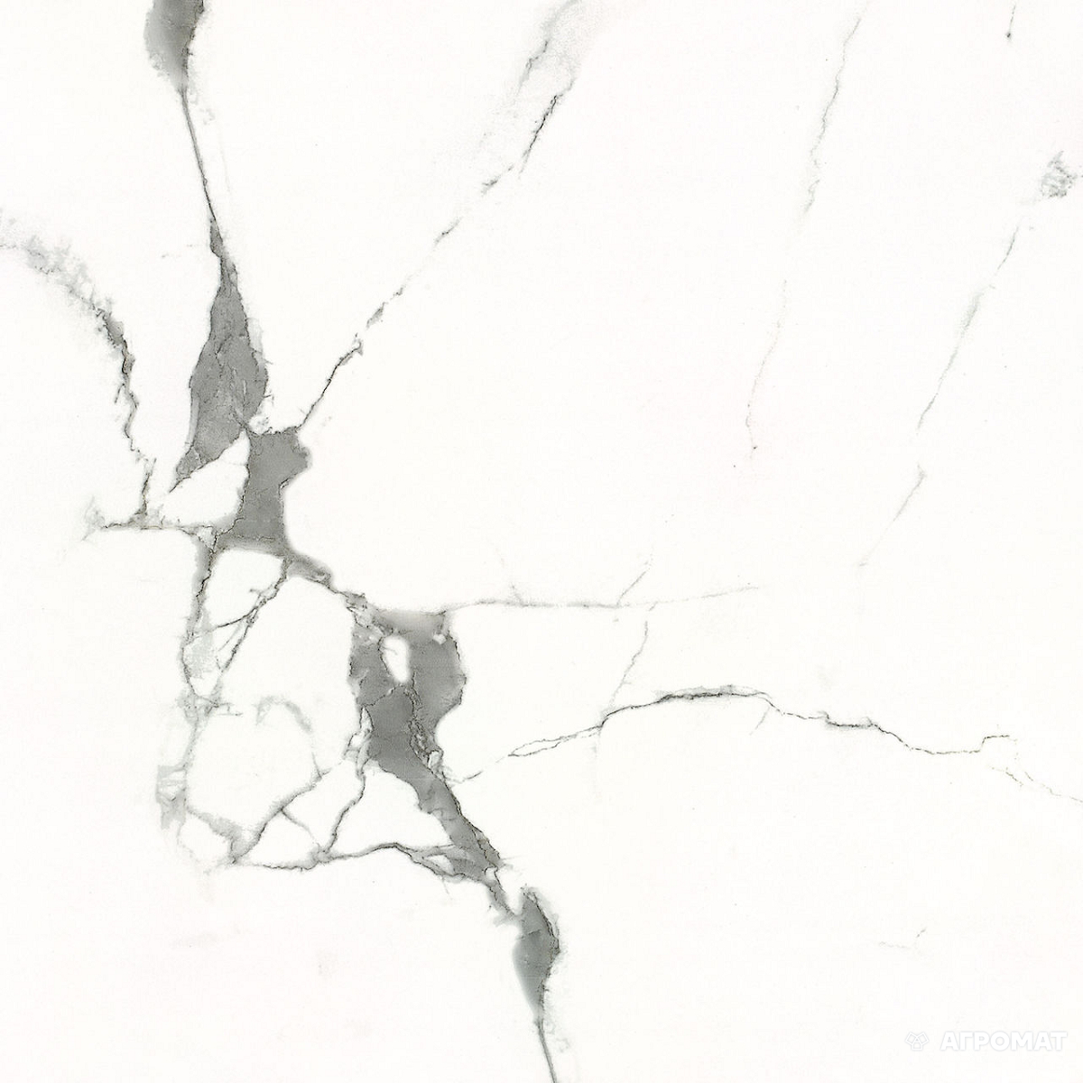 Плитка Carrara GXJ00160S