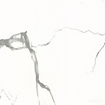 Плитка Carrara GXJ00160S