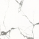 Плитка Carrara GXJ00160S - 6