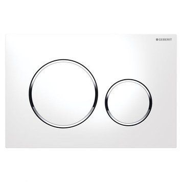 Змивна кнопка Geberit Sigma 20